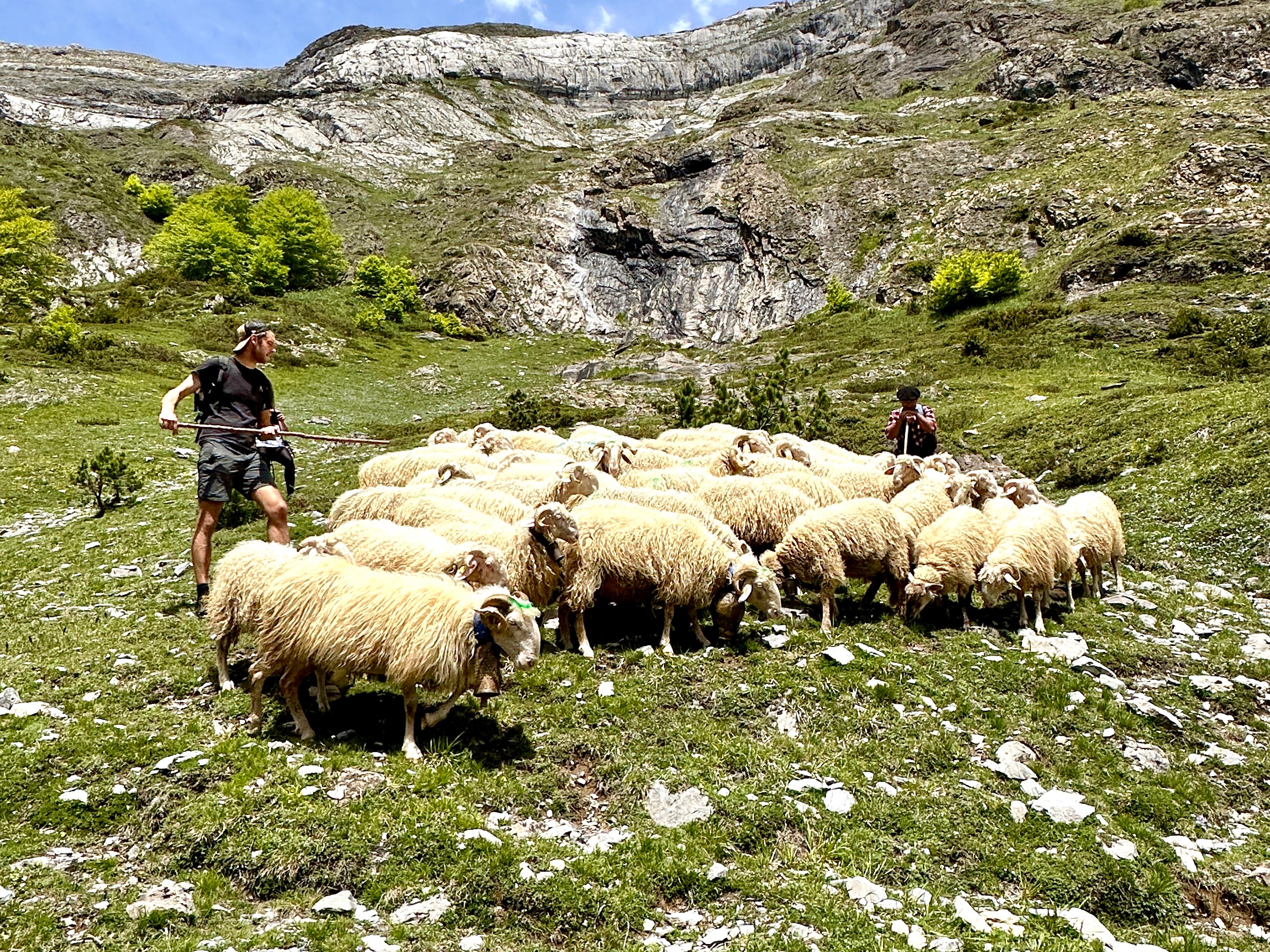 Transhumance, Terroir & Tradition