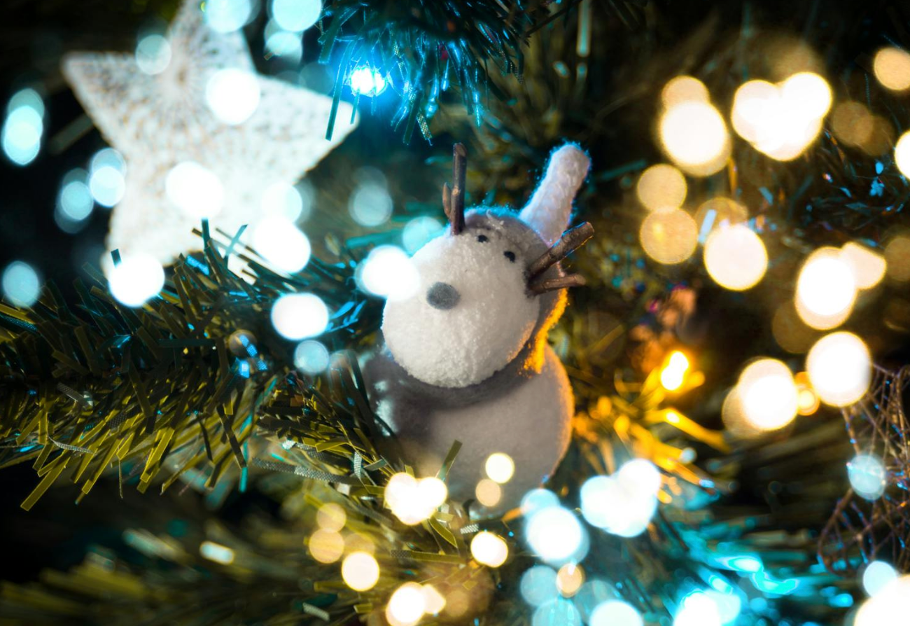 Dec 10th - White Christmas at the Central Market with Smelly Cheese Co.