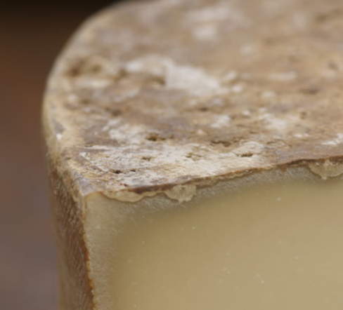 Beaufort d'Eté AOC cheese photo