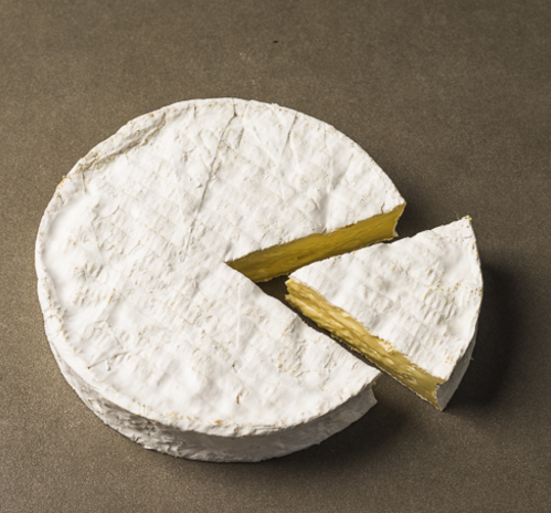 Brie de Normandie cheese photo