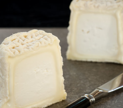 Chabichou du Poitou cheese photo