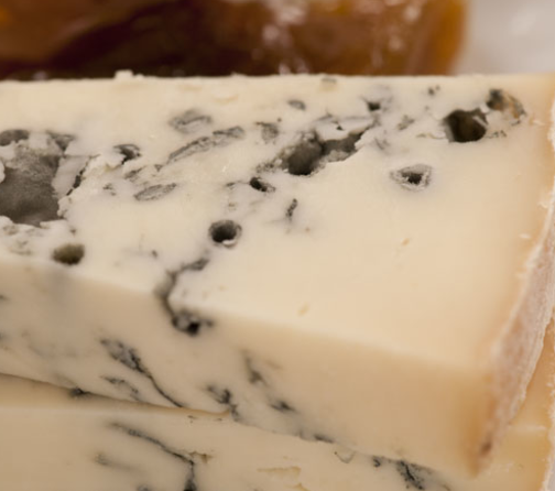 Gorgonzola Piccante cheese photo